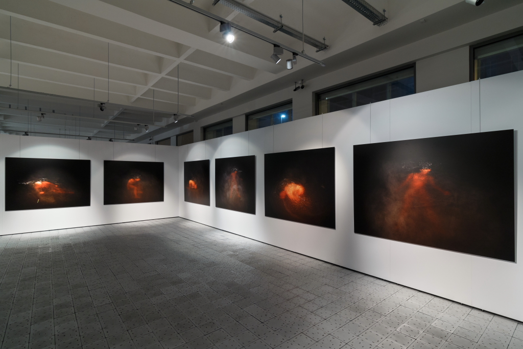 Rudé tělo, 2005(výběr ze série), digitální fotografie, dibond, 150 x 200 cm
